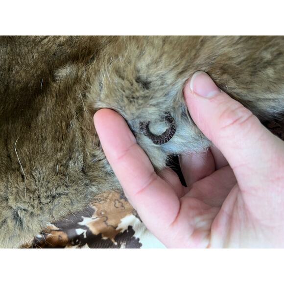 Vintage Furs by Pollans Mink Leatrim Race Collar Mid length Coat - Picture 11 of 13